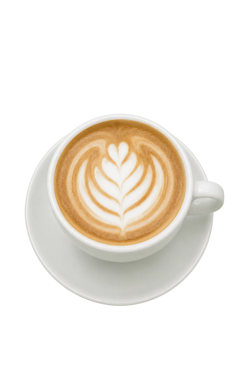 Cappuccino — Hot/Iced
